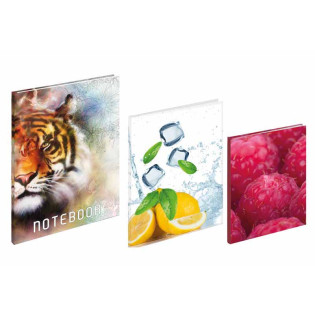 BRULION A4 96K. KRATKA TWARDA OPRAWA