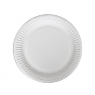 C TALERZ PAPIEROWY 24CM 100 SZT