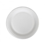 C TALERZ PAPIEROWY 24CM 100 SZT