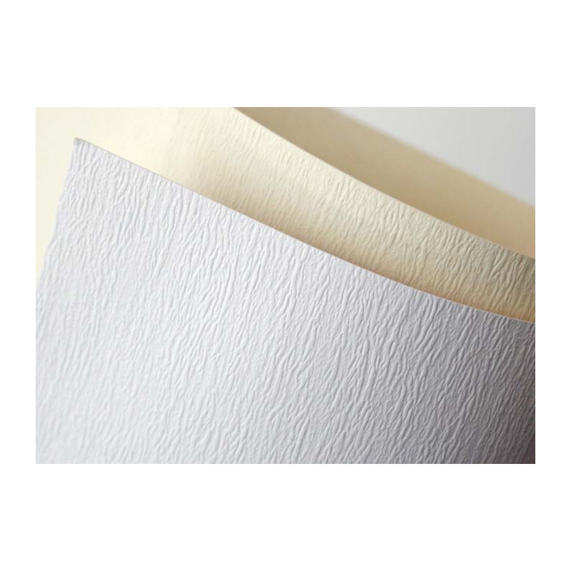 KARTON OZDOBNY A4 ATLANTA BIAŁY 230G 20ARK.