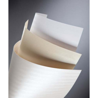 KARTON OZDOBNY A4 BALI KREM 220G 20ARK. 