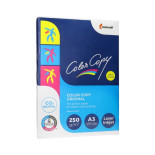 PAPIER KSERO A3/ COLOR COPY 250G 