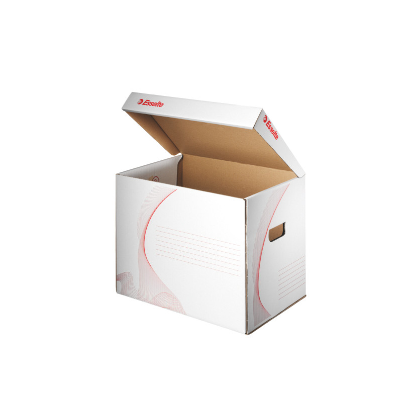 PUDŁO ARCHIWIZACYJNE ESSELTE 128911 ZBIORCZE