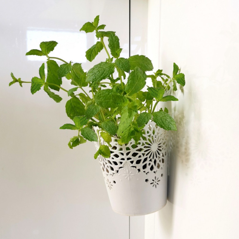 TAŚMA DWUSTRONNA NANO SMART 2CM X 30MM X 3M 