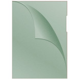 Obwoluta DONAU typu L, PP, A4, groszkowa, 120mikr., zielona