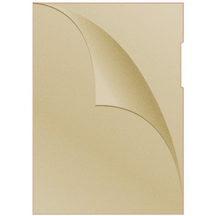 Obwoluta DONAU typu L, PP, A4, groszkowa, 120mikr., żółta