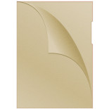 Obwoluta DONAU typu L, PP, A4, groszkowa, 120mikr., żółta