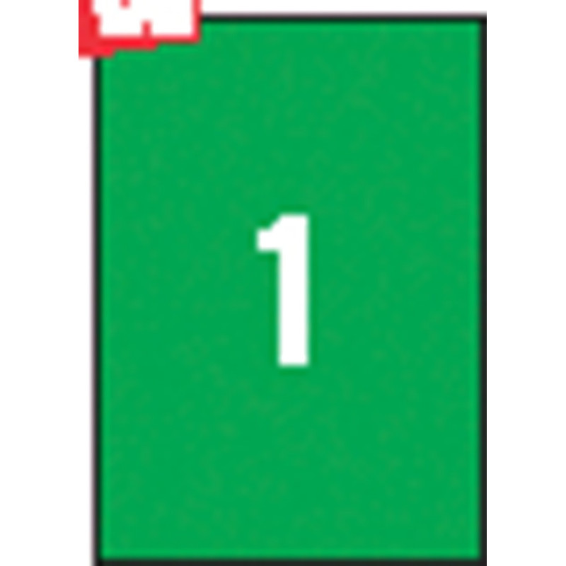 Etykiety kolorowe APLI, 210x297mm, prostokątne, zielone, 20 ark.