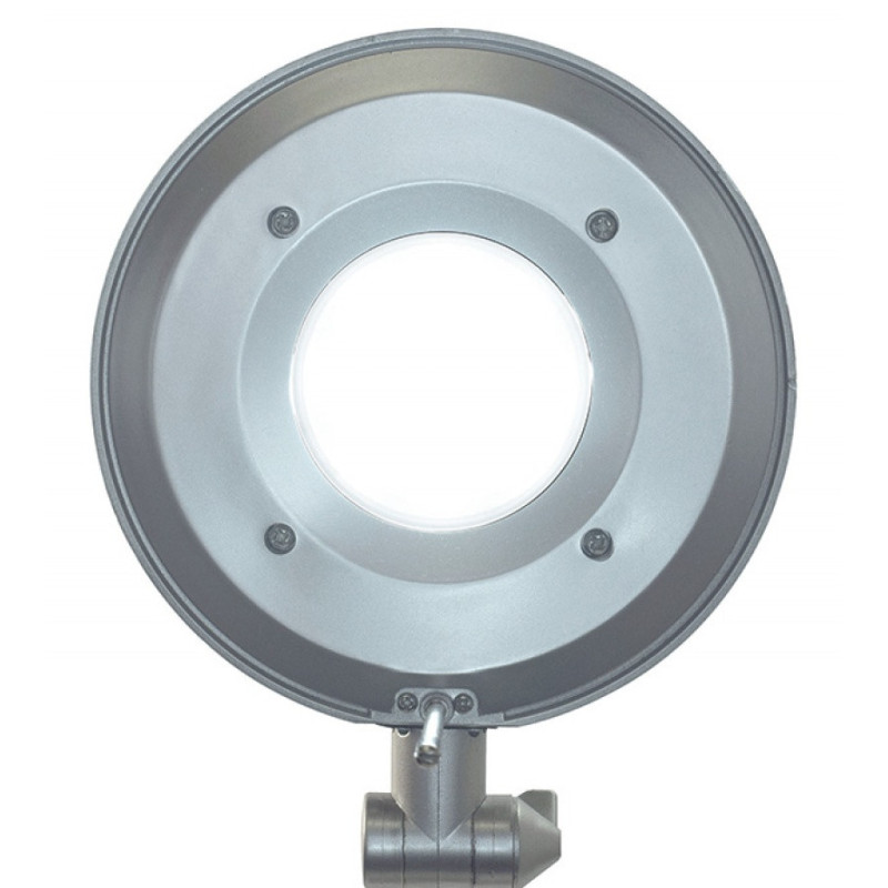 Lampka LED na biurko MAULbusiness, 11W, srebrno-czarna