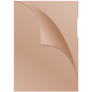 Obwoluta DONAU typu L, PP, A4, groszkowa, 120mikr., pomarańczowa