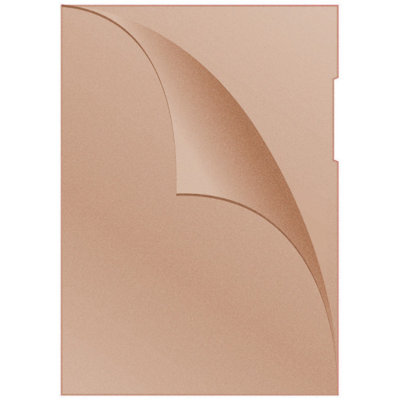 Obwoluta DONAU typu L, PP, A4, groszkowa, 120mikr., pomarańczowa