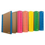 Segregator ringowy DONAU Life, A4/2RD/50mm, pomarańczowy