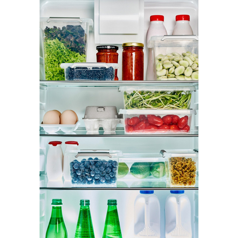 Pojemnik antybakteryjny MOXOM Antibacterial, z rączką, 3,1l, transparentny