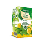 Herbata HERBAPOL Zielnik Polski, 20 torebek, melisa z pigwą