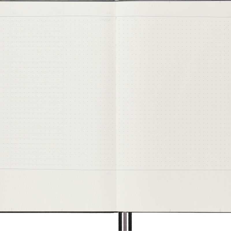 Notes MOLESKINE PRO Project Planner XL (19x25 cm) twarda oprawa, czarny