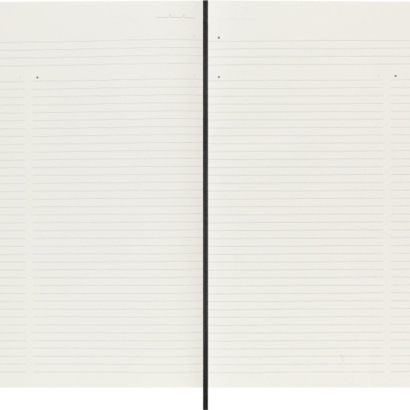 Notes MOLESKINE PROFESSIONAL A4 (21x29,7 cm), miękka oprawa, 192 strony, czarny