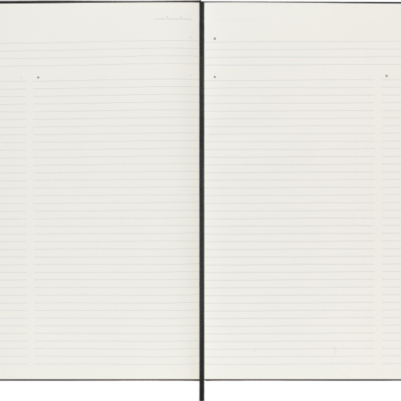 Notes MOLESKINE PROFESSIONAL A4 (21x29,7 cm), twarda oprawa, 192 strony, czarny