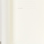 Notes MOLESKINE PROFESSIONAL L (13x21 cm), miękka oprawa, 192 strony, czarny