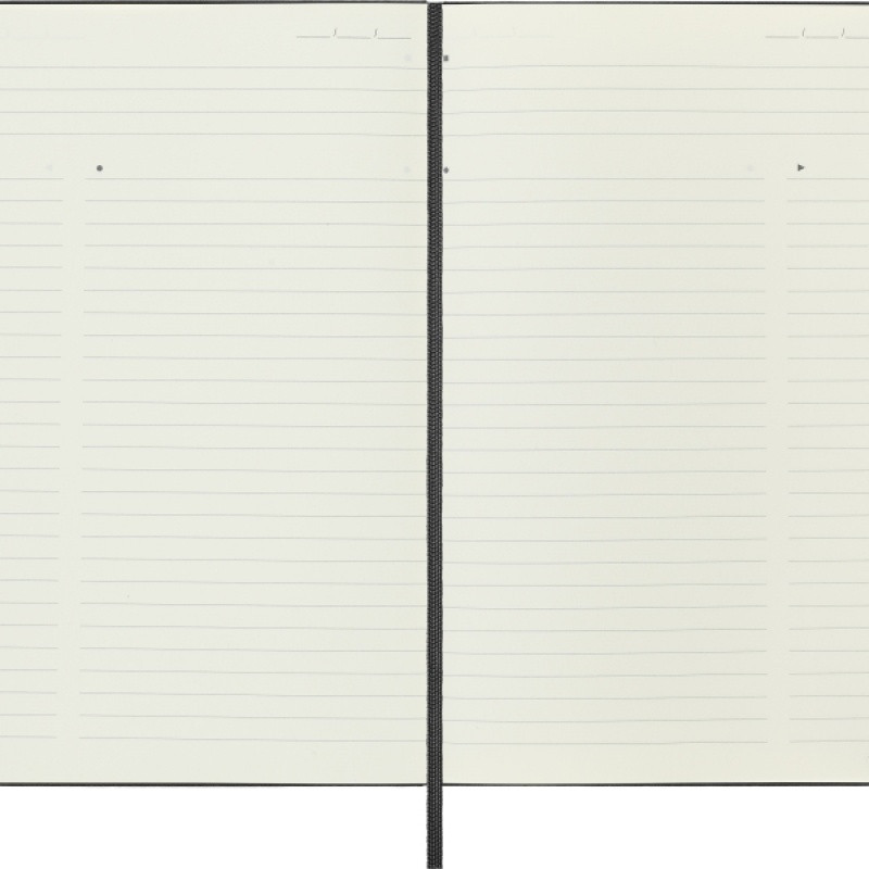 Notes MOLESKINE PROFESSIONAL L (13x21 cm), twarda oprawa, 240 stron, czarny
