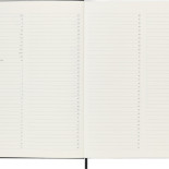 Notes MOLESKINE PROFESSIONAL XL (19x25 cm), twarda oprawa, 192 strony, czarny