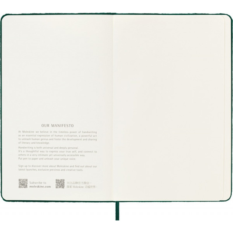 Notes MOLESKINE edycja limitowana Velvet L (13x21 cm) w linie, BOX, zielony