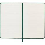 Notes MOLESKINE edycja limitowana Velvet L (13x21 cm) w linie, BOX, zielony