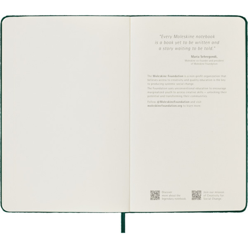 Notes MOLESKINE edycja limitowana Velvet L (13x21 cm) w linie, BOX, zielony