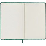 Notes MOLESKINE edycja limitowana Velvet L (13x21 cm) w linie, BOX, zielony