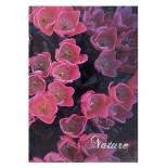 Brulion OFFICE PRODUCTS, Nature, A5, w kratkę, 96 kart., mix