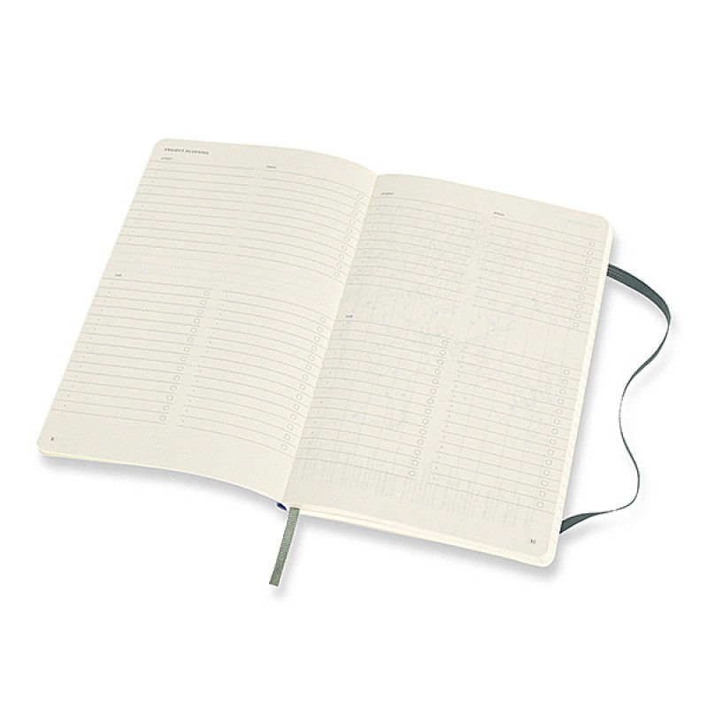 Notes MOLESKINE Professional L (13x21 cm), miękka oprawa, forest green, 192 stron, zielony