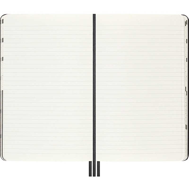 Planer MOLESKINE L, Positivity, Smiley