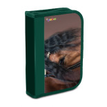 Piórnik szkolny GIMBOO, ekon. z wyposażeniem, 1 komora, 1 przekładka, mix kolorów