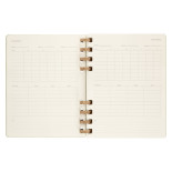 Kalendarz akademicki na spirali MOLESKINE lip 23 - cze 24, XL, twarda oprawa, crush kiwi