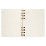 Kalendarz akademicki na spirali MOLESKINE lip 23 - cze 24, XL, twarda oprawa, crush kiwi