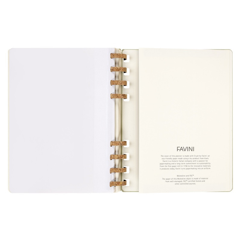 Kalendarz akademicki na spirali MOLESKINE lip 23 - cze 24, XL, twarda oprawa, crush kiwi