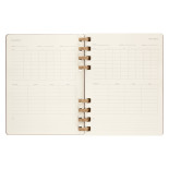 Kalendarz akademicki na spirali MOLESKINE lip 23 - cze 24, XL, twarda oprawa, crush almond