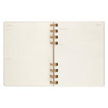 Kalendarz akademicki na spirali MOLESKINE lip 23 - cze 24, XL, twarda oprawa, crush almond