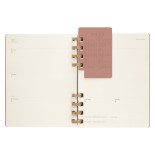 Kalendarz akademicki na spirali MOLESKINE lip 23 - cze 24, XL, twarda oprawa, crush almond