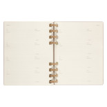 Kalendarz akademicki na spirali MOLESKINE lip 23 - cze 24, XL, twarda oprawa, crush almond