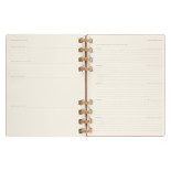 Kalendarz tygodniowy/miesięczny na spirali MOLESKINE 2024, 12M, XL, twarda oprawa, crush almond
