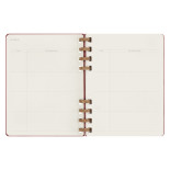 Kalendarz na spirali MOLESKINE, bez dat, XL, twarda oprawa, crush cherry