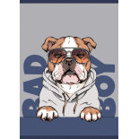 Zeszyt szkolny GIMBOO, A5, w 3 linie, 32 kart., 70gsm, mix wzorów