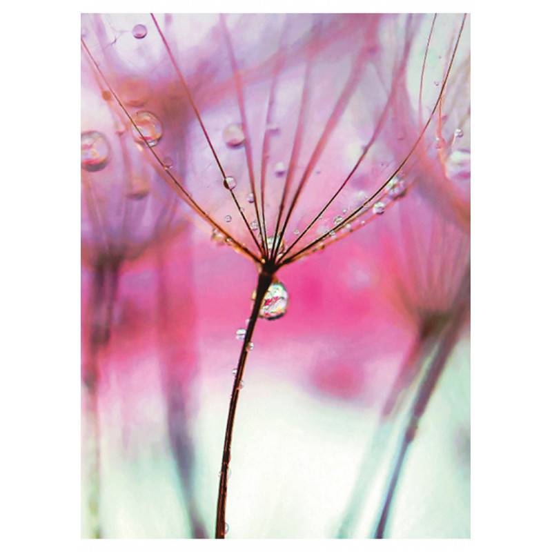 Zeszyt szkolny GIMBOO, A5, w linie, 60 kart., 70gsm, mix wzorów