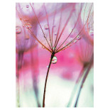 Zeszyt szkolny GIMBOO, A5, w linie, 60 kart., 70gsm, mix wzorów