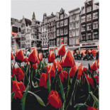 Malowanie po numerach BRUSHME, 40x50 cm, tulipany Amsterdamu, 1 szt.