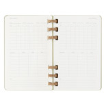 Kalendarz akademicki na spirali MOLESKINE lipiec 2024 - czerwiec 2025, L, twarda oprawa, 15x21cm, crush kiwi