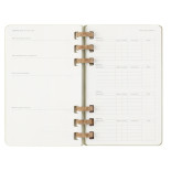 Kalendarz akademicki na spirali MOLESKINE lipiec 2024 - czerwiec 2025, L, twarda oprawa, 15x21cm, crush kiwi