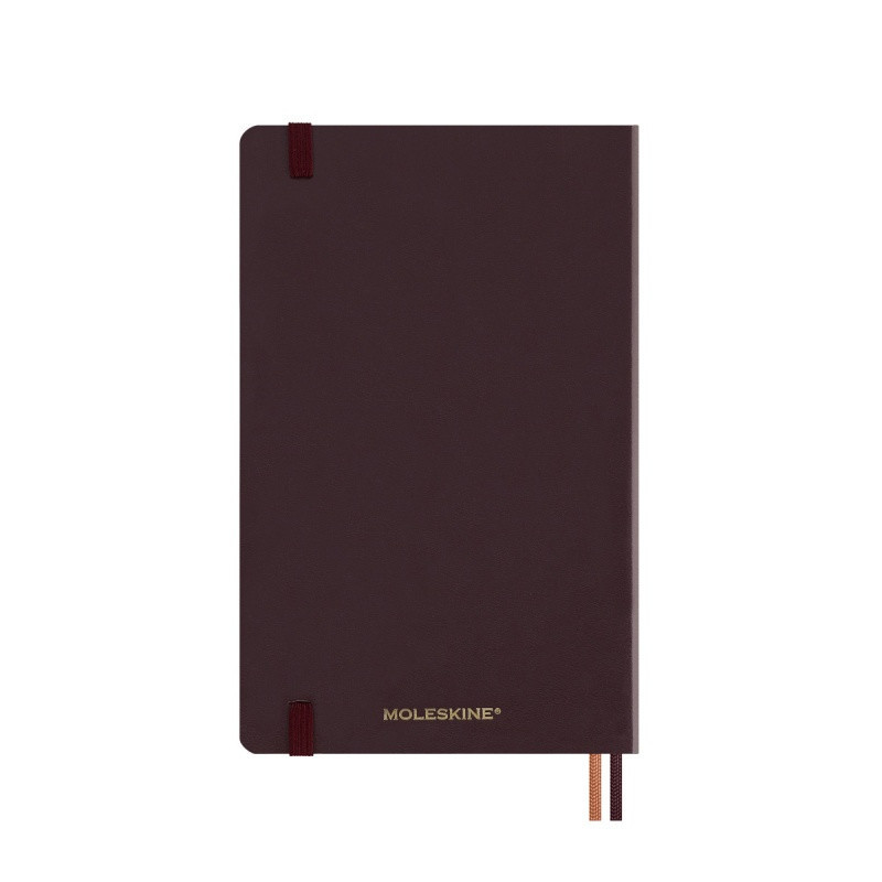 Kalendarz dzienny MOLESKINE 2025, 12M, L, Harry Potter Accio, edycja limitowana, 13x21cm