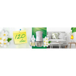 Elektryczny odświeżacz powietrza AIR WICK z wkładem białe kwiaty, 19ml