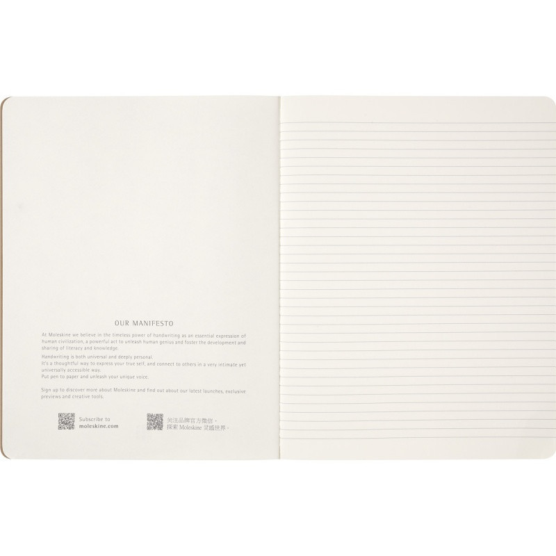 Notatnik MOLESKINE Harry Potter Wingardium 2024, XL, 15x21cm, edycja limitowana